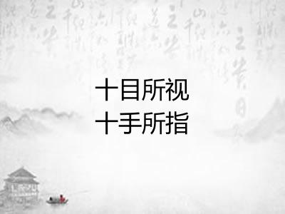 十目所视十手所指