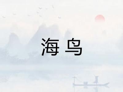 海鸟