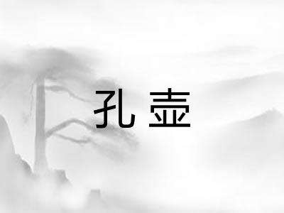 孔壶