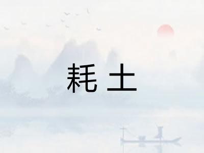 耗土