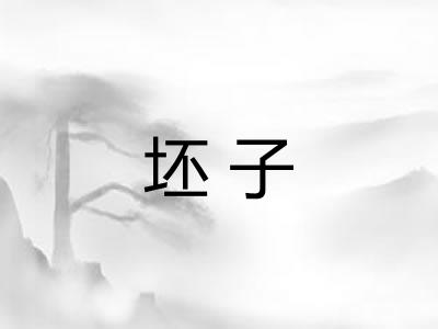 坯子