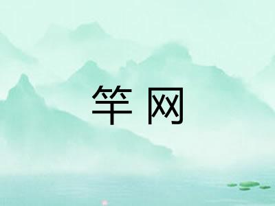 竿网