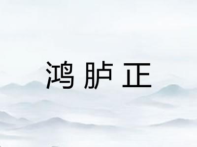 鸿胪正
