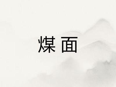 煤面