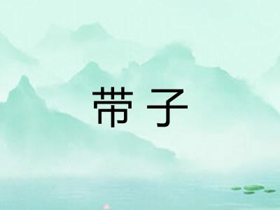 带子