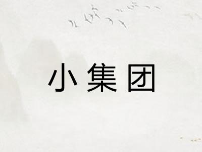 小集团