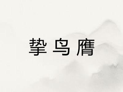 挚鸟膺