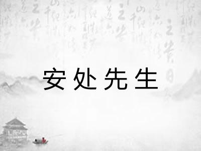 安处先生