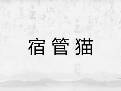 宿管猫
