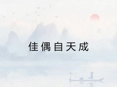 佳偶自天成