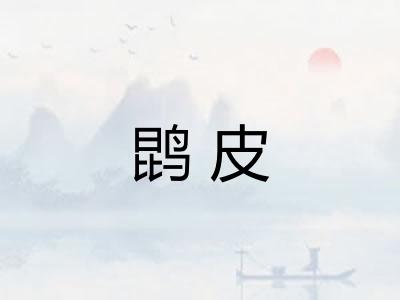 鹍皮