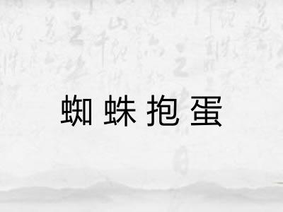 蜘蛛抱蛋