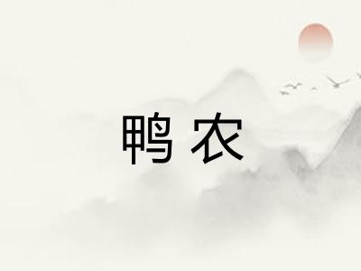 鸭农