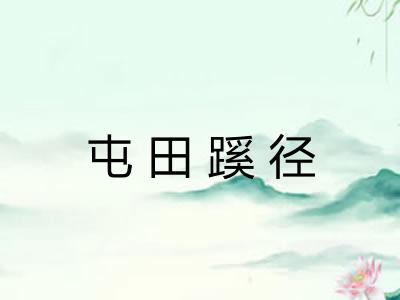 屯田蹊径