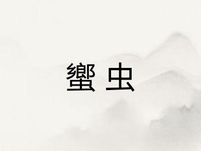 蠁虫