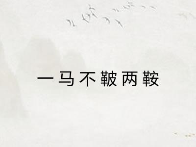 一马不鞁两鞍