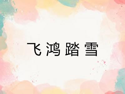 飞鸿踏雪