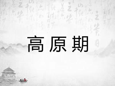 高原期