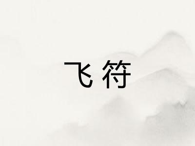 飞符