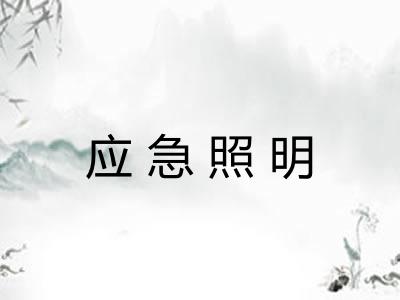 应急照明