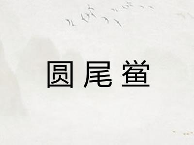 圆尾鲎