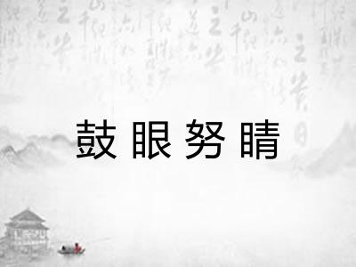鼓眼努睛