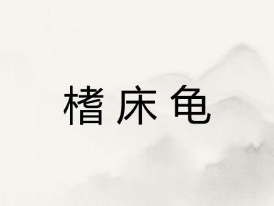 榰床龟