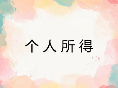 个人所得