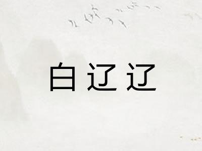 白辽辽