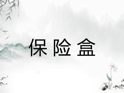 保险盒