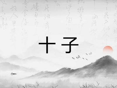 十子