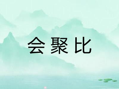 会聚比
