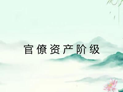 官僚资产阶级
