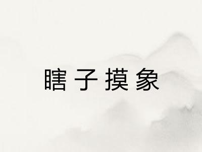 瞎子摸象