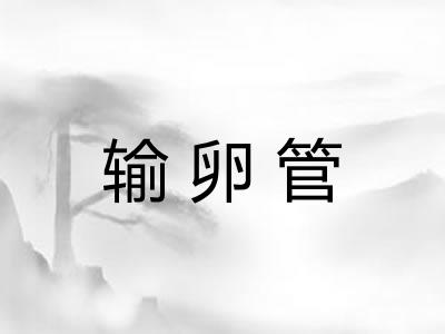 输卵管