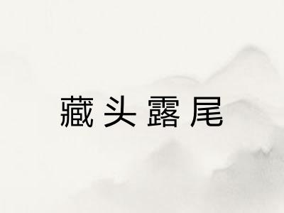 藏头露尾
