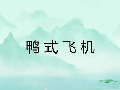 鸭式飞机