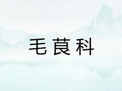 毛茛科