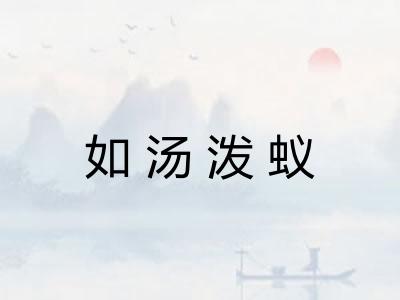 如汤泼蚁