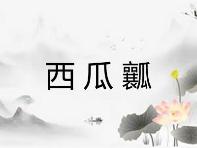西瓜瓤