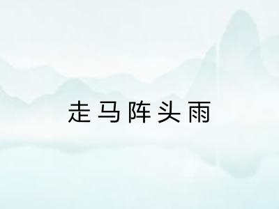 走马阵头雨