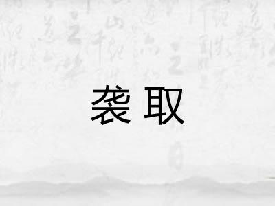 袭取