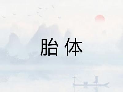 胎体