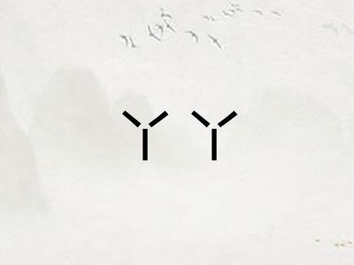 丫丫