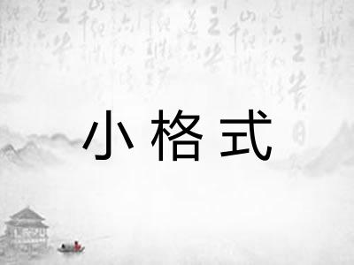 小格式