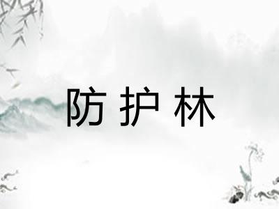 防护林