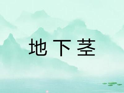 地下茎