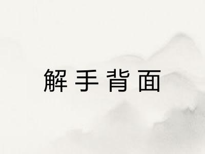 解手背面