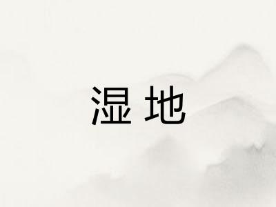 湿地