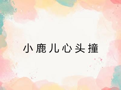 小鹿儿心头撞